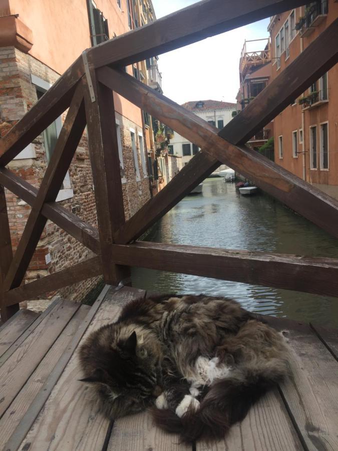 Mori 3, In Centro Storico Di Venezia Διαμέρισμα Εξωτερικό φωτογραφία
